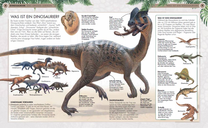 Wie Groß Ist Der Dinosaurier? : Tyrannosaurus rex Steckbrief » Alles